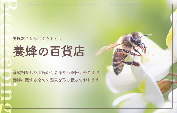 ほの（清楚癒し系×Hカップ！：Honey Bee（ハニービー）(熊谷デリヘル)｜駅ちか！