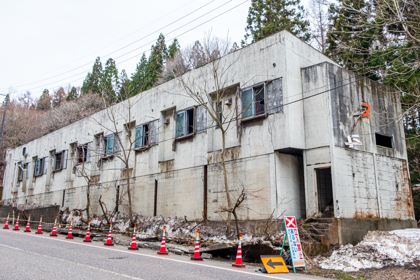 通販生活：セリーヌの財布を買ってみました : 僕と彼氏の旅行記