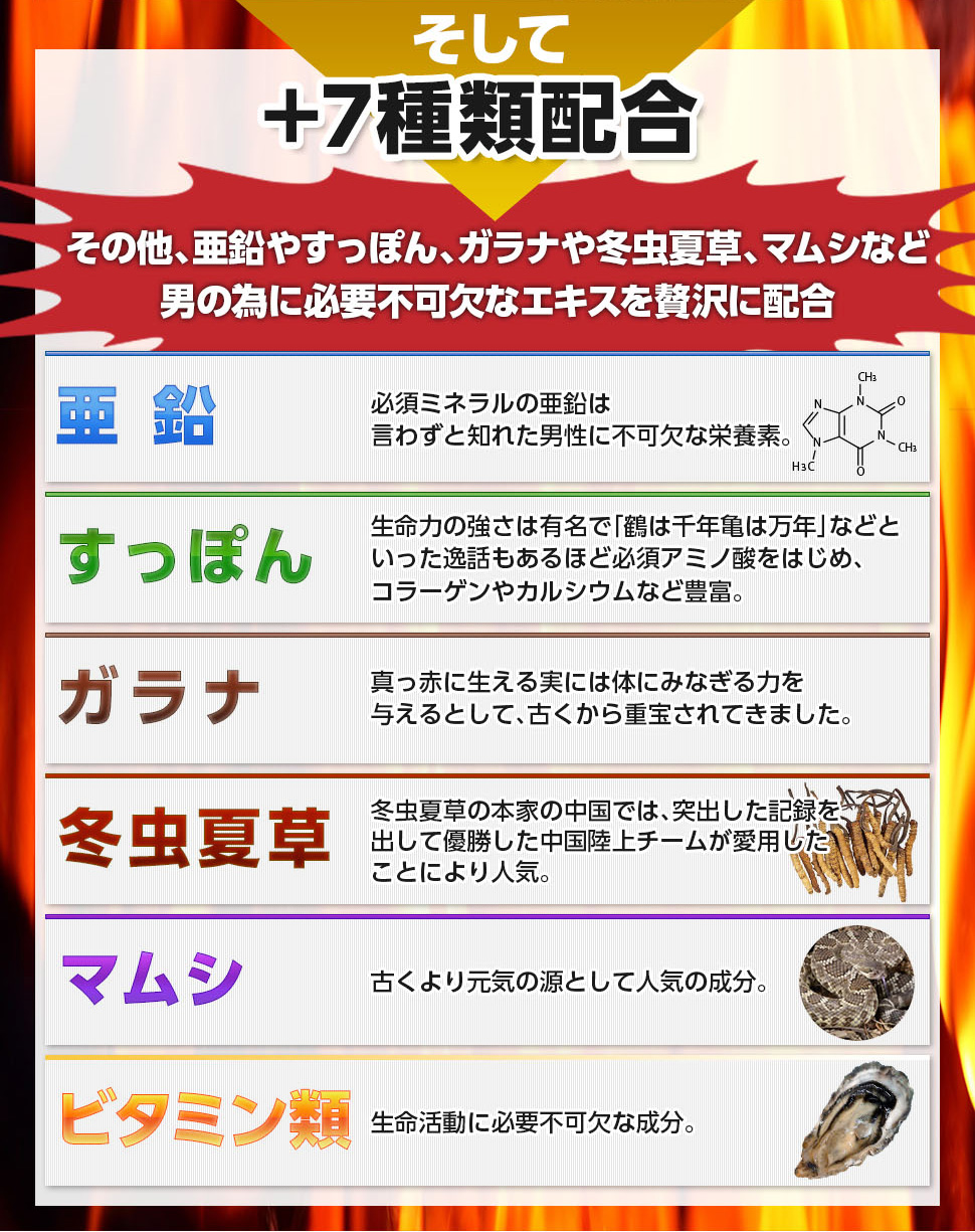 トンカットアリ・マカ・すっぽん・冬虫夏草・配合栄養ドリンク 凄絶Ｚ 50ml