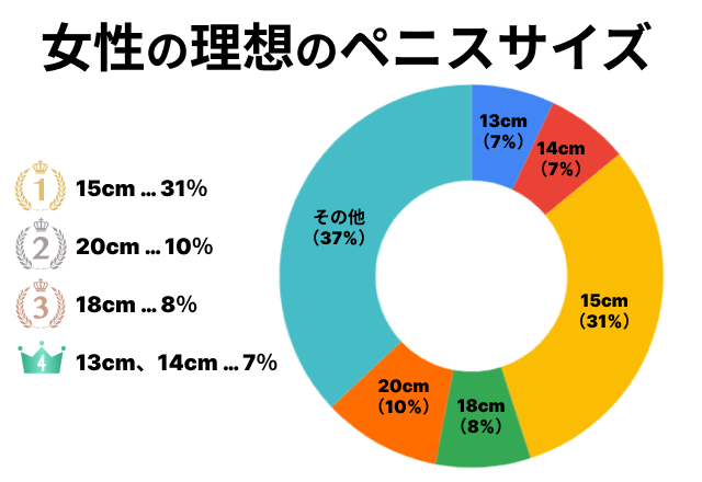 Average penis size