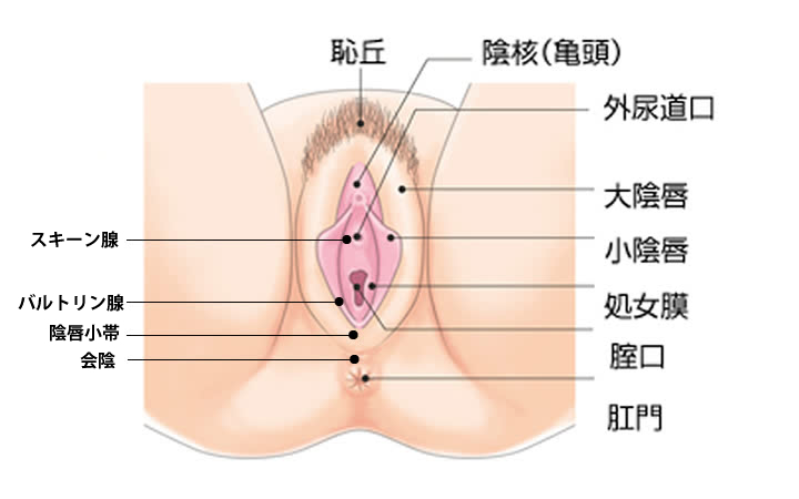 どんな膣が名器なの？男性にはわかる？彼氏はどう思ってる？ | 【きもイク】気持ちよくイクカラダ