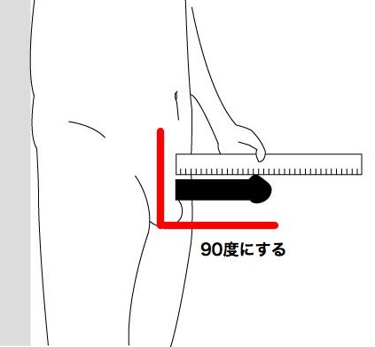 男性器の大きさについて｜大東製薬工業株式会社