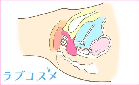 Gスポット開発とは？場所と位置の見つけ方 - 夜の保健室