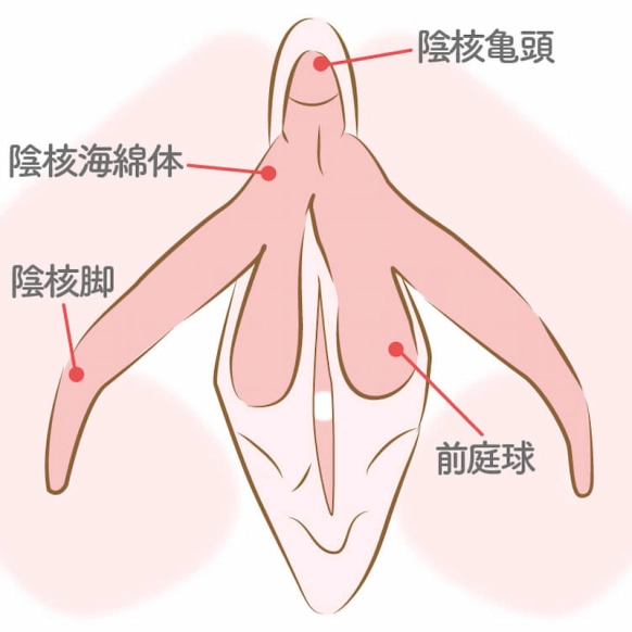 気持ちいい”を科学する - はなしちゃお! 〜性と生の学問〜