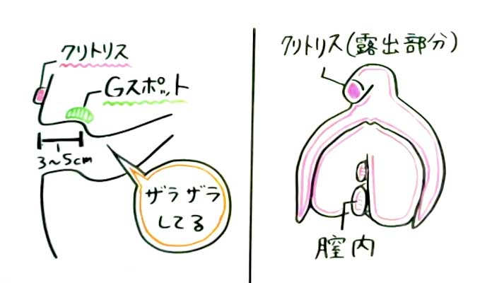 女が最も中イキしやすい体位 【正常位編図解】オーガズムを得やすい体勢って？ | 【きもイク】気持ちよくイクカラダ