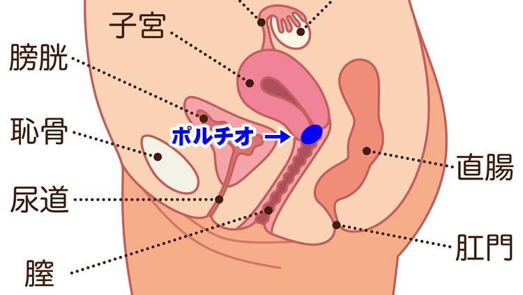 本当に気持ちいい正常位のやり方を画像と動画で徹底解説！体位のバリエーションや練習方法も紹介【快感スタイル】