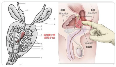 超気持ちいい…アナルセックスのリアル。アナルセックス前後の話 | セックスレスをやめてみた