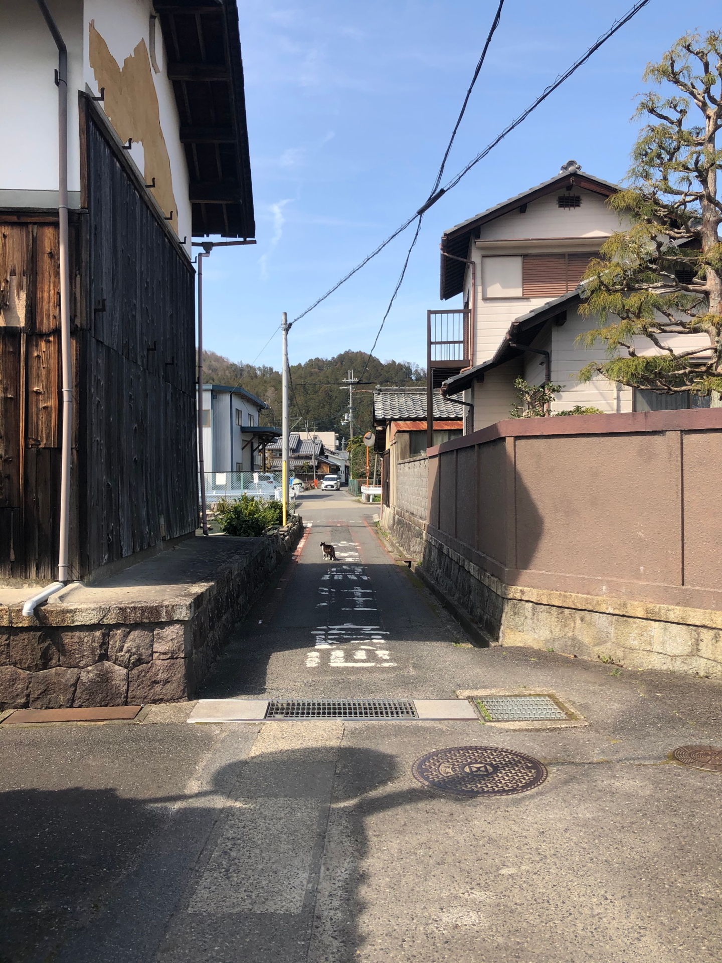 開店】寿司居酒屋や台ずしが能登川駅西口町にオープンしていた！｜おーみらい～東近江市・近江八幡市に特化した地域情報をお届け