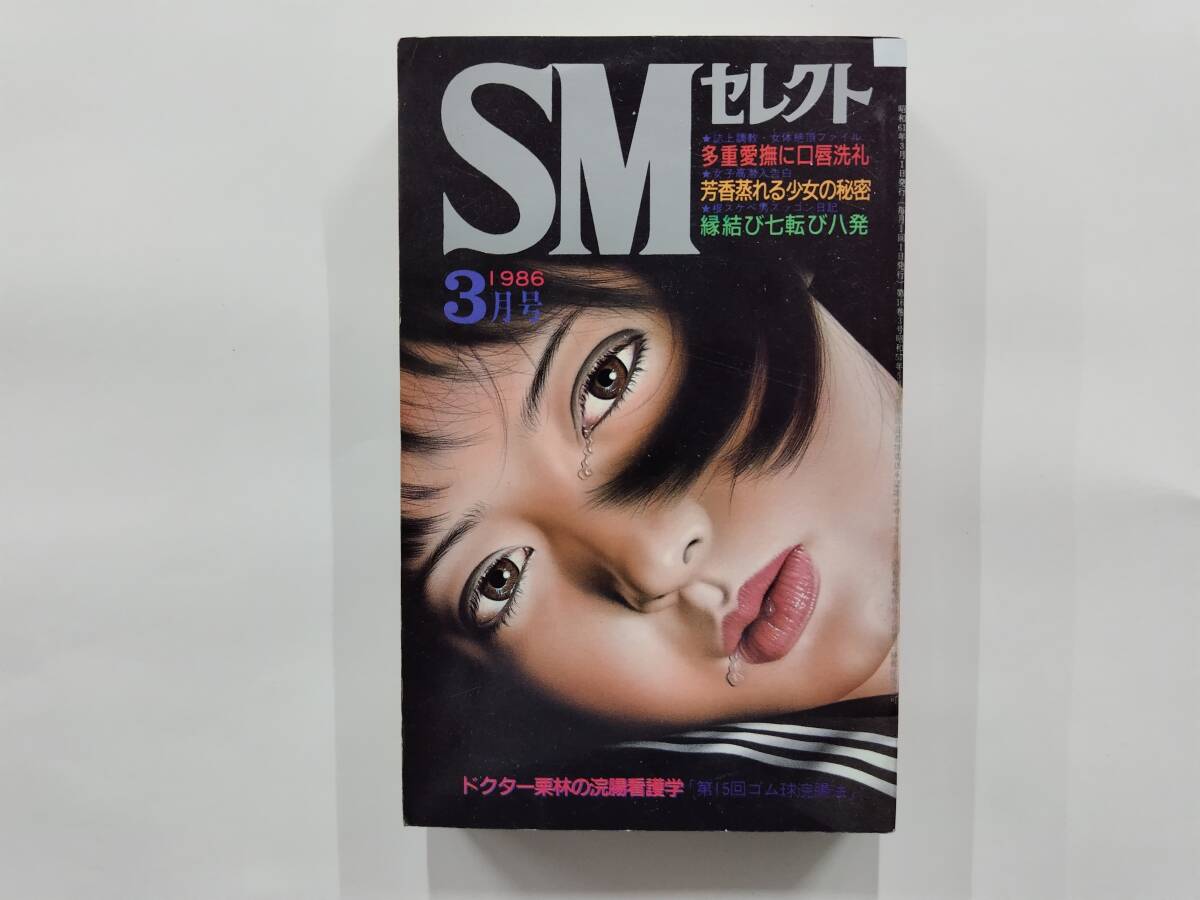 ＳＭ・浣腸・放尿短編小説集「ＳＭ課題」（Mドリーム）の通販・購入はメロンブックス | メロンブックス