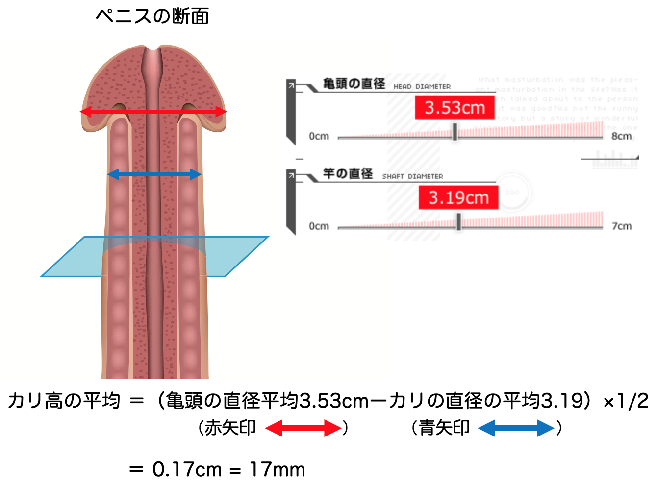 とあるサイトで外国人女性にチンコ採点してもらってます。日本人のチンコは硬いですよ！って言ったら、who | Peing