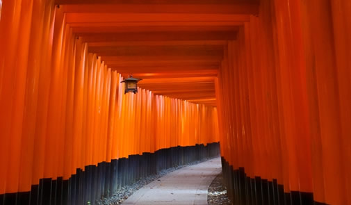 宇治の宿 茶願寿邸 紫陽花の間（京都府宇治）の宿泊予約｜STAY  JAPAN（ステイジャパン）で宿泊予約を｜民泊・農泊・貸別荘・コテージ・古民家・城泊・宿坊など個性的な宿泊施設が見つかる予約サイト