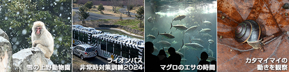 上野動物園の東園・西園連絡バスについて ｜ 東京ズーネット