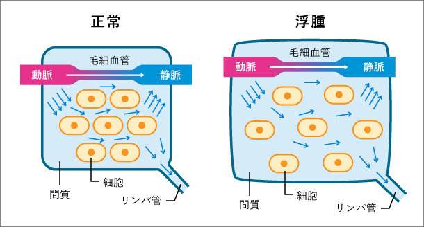 足の冷えは、ツボとマッサージで改善しよう！｜コラム｜銀座ナチュラルタイム-銀座駅から徒歩1分の極上リンパマッサージ