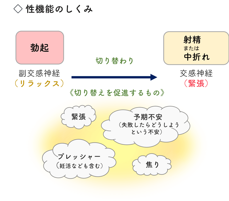 いとうともか@カルサイネイザンセラピスト | 男性ホルモンの増加 これまでは「過剰なオナニーは健康に悪影響を及ぼす」