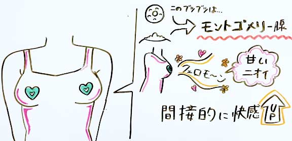 乳首開発するやり方！感度を敏感にするコツ - 夜の保健室