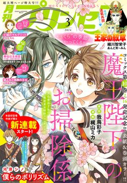 新米 ミルキープリンセス 令和6年秋田県産