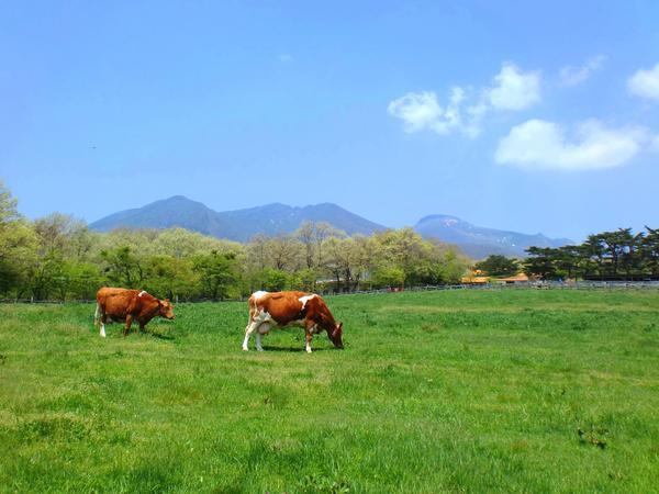 サクッと日帰り☆那須高原☆南ヶ丘牧場で動物たちに癒される』那須(栃木県)の旅行記・ブログ by 一泊二日さん【フォートラベル】