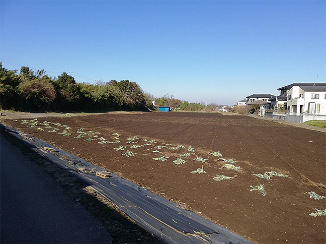 千葉県で安心して供養できる樹木葬8選。口コミや管理会社のインタビューをもとに徹底紹介｜悠々樹木葬 ～千葉～