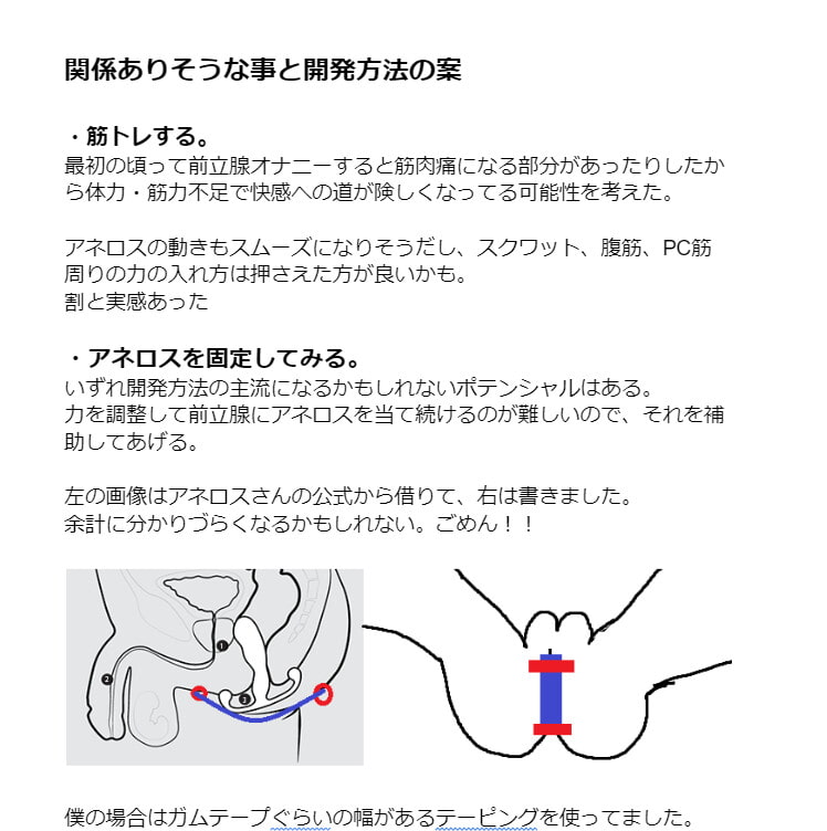 ドライオーガズムの方法｜ドライオーガズムやり方｜メスイキの全て｜信長トイズまとめブログ