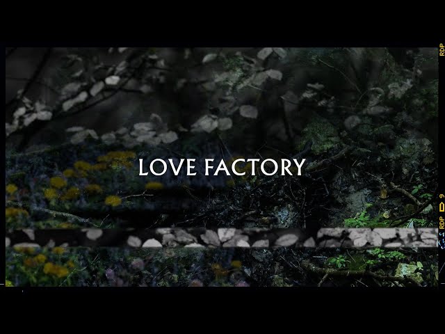 Love Factory