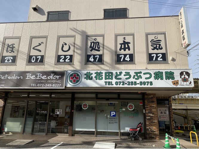 大阪市東淀川区】上新庄駅南口すぐ！全身をもみほぐしてくれる｢ほぐし屋 上新庄｣がオープンしました！ | 号外NET 東淀川区