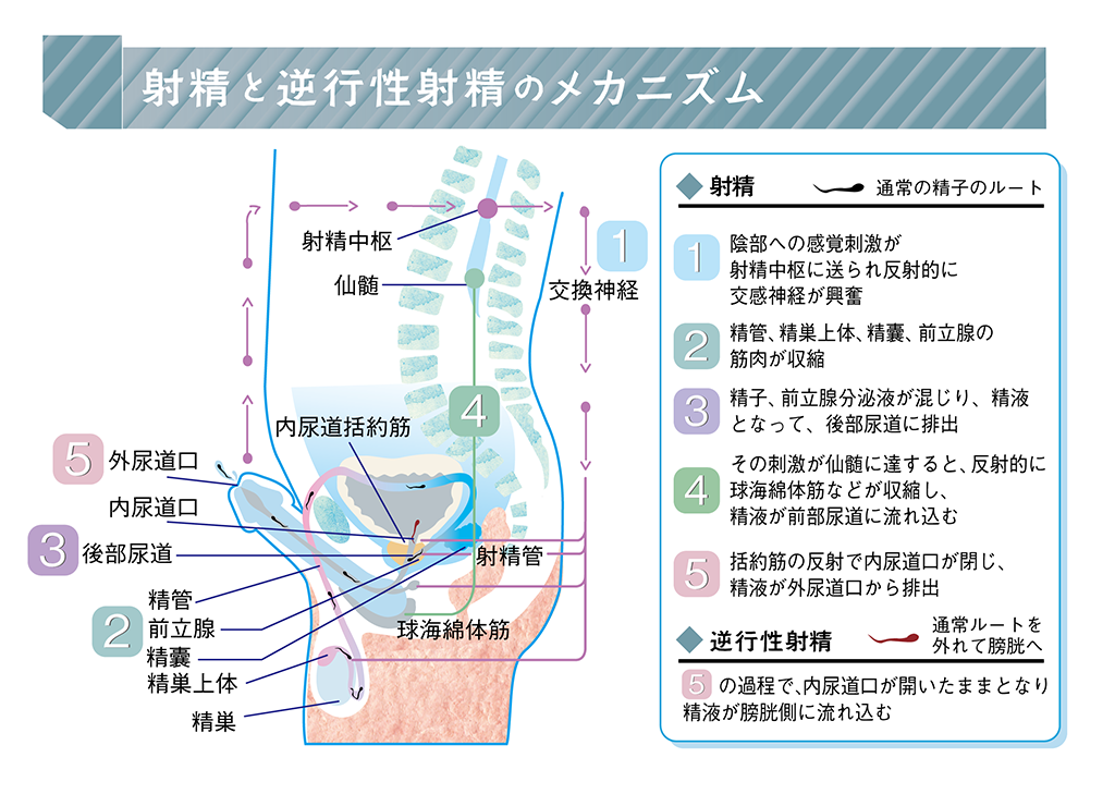 挿入なしでドライオーガズムを体感!? 『コアファン』で女性以上の快感を体験せよ!! -