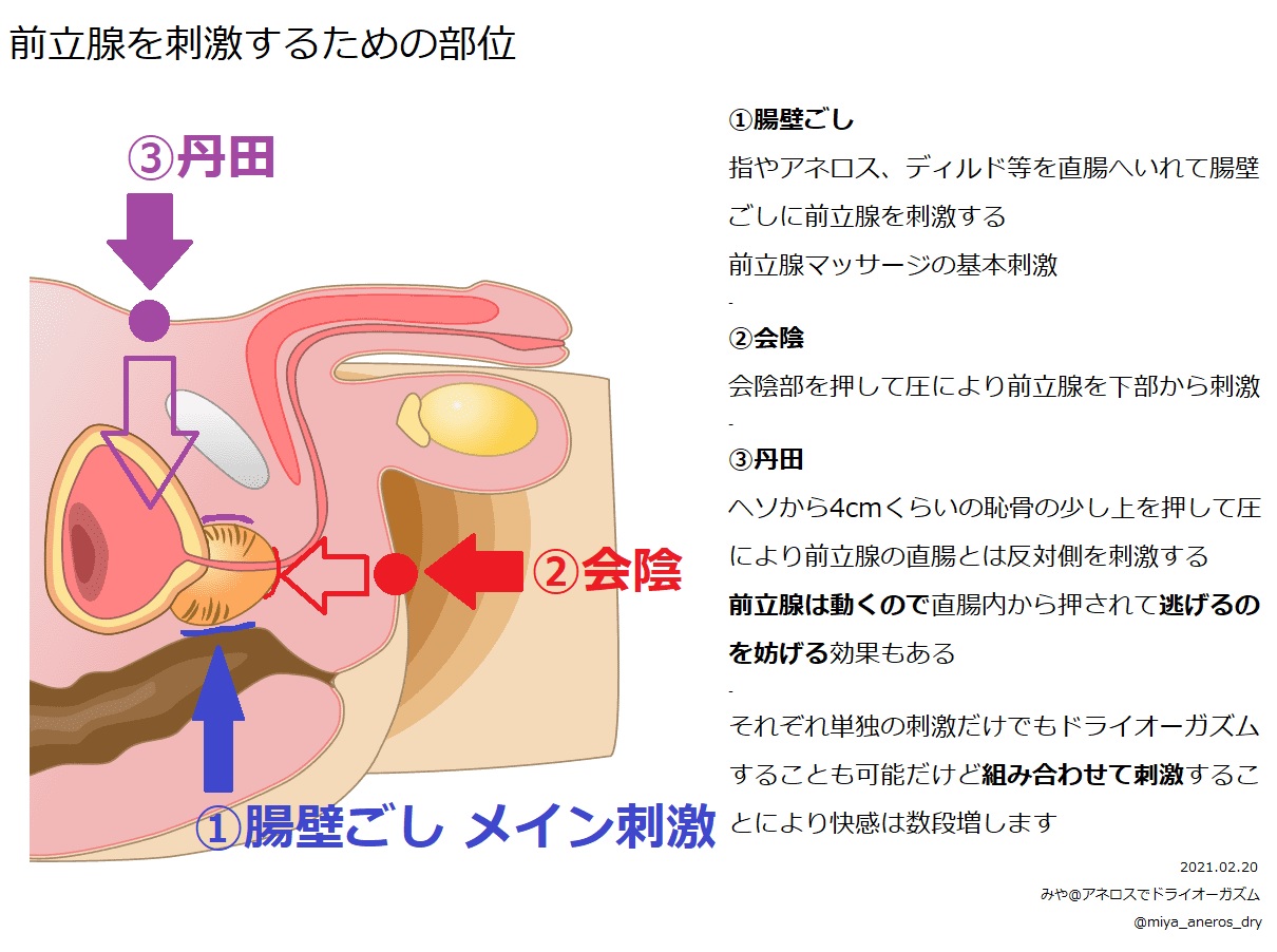 ドライオーガズム | シニアのための出張回春マッサージ・風俗メンズエステ【ORIENTAL】