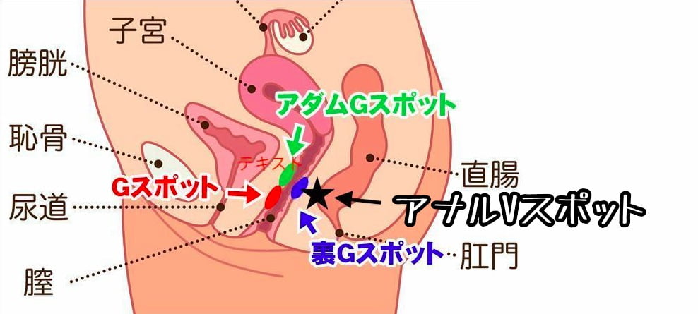 アナルが性感帯のニューハーフ美女が泣くまでやめない牛乳浣腸ファック!! | ゲオ宅配アダルトDVDレンタル