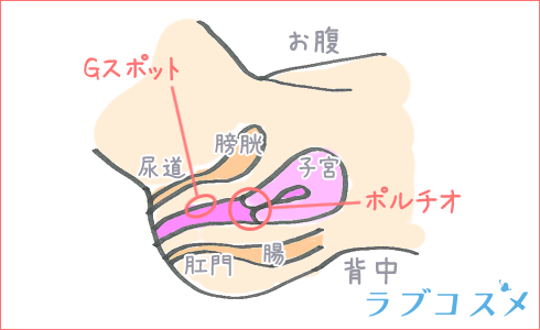 騎乗位で中イキさせるコツはグラインド！上下ではなく前後に動くべき？｜裏垢男子で年収2000万