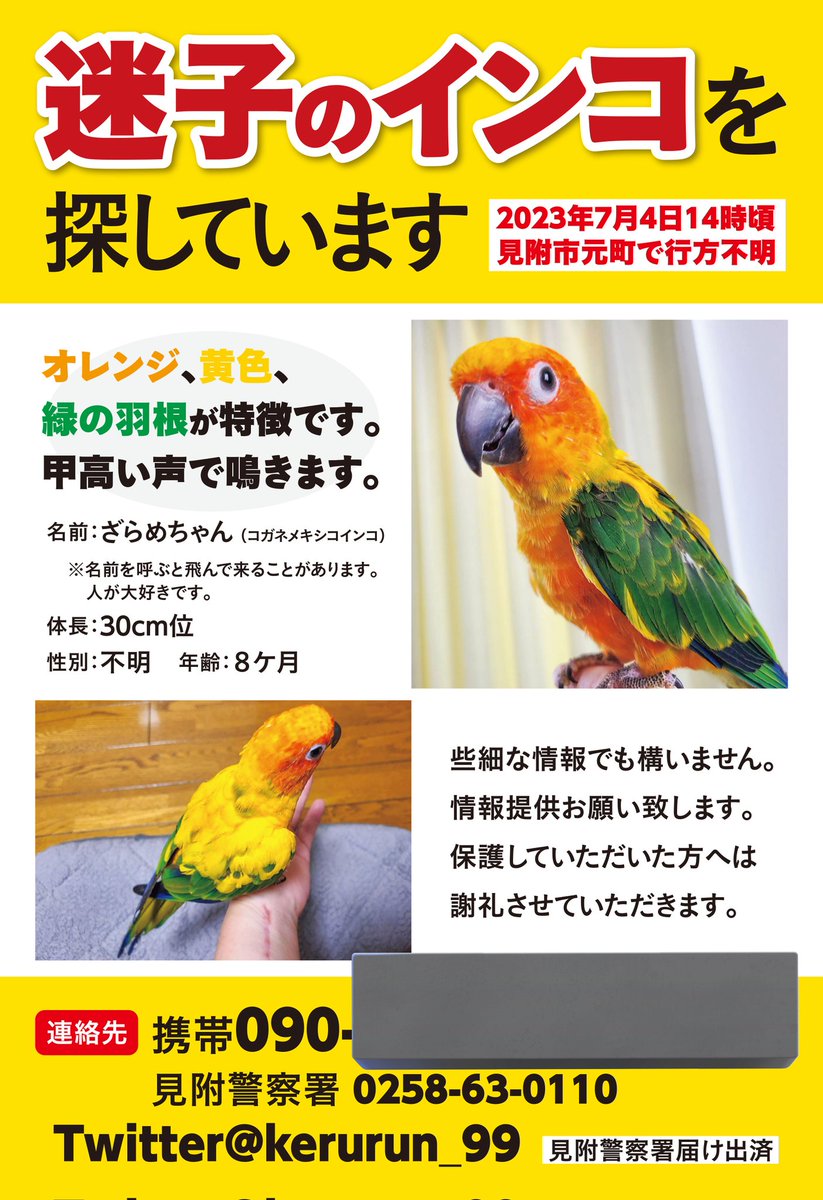 坂戸市】近隣地域で活動中のキッチンカーが大集合！投票によって頂点を決める「kitchencar グルメグランプリ」が開催決定！！ | 号外NET 