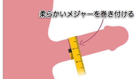 ペニスの長さ・太さサイズを一発診断！【トイレットペーパーの芯】 | セクテクサイト