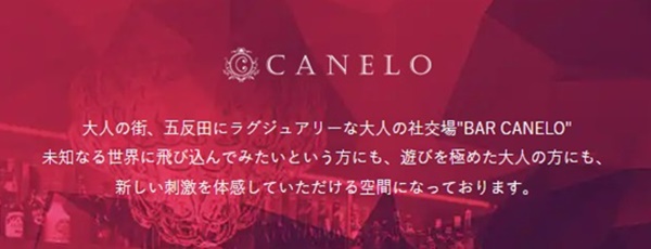 日本各地でハプニングバーが続々オープンのなぜ。警察の摘発は逆効果？ 浜名湖畔120人乱交パーティー“全国大会”の主催者は今…｜Infoseekニュース