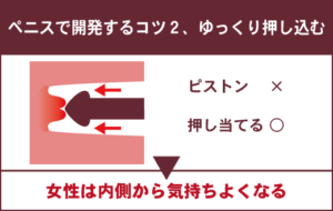 ポルチオとは？産婦人科専門医の丹羽咲江医師が子宮腟部を徹底解説します。 | 腟ペディア