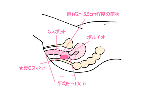 【長茎手術】アソコが5分で4cm伸びた衝撃映像！