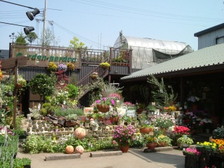 フォト｜ナチュラルガーデン 阪急西宮ガーデンズ店(Natural Garden)｜ホットペッパービューティー