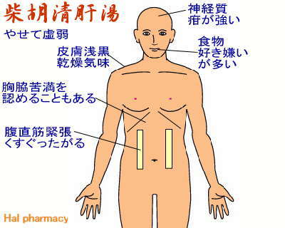 ゴボウ：武田薬品工業株式会社 京都薬用植物園