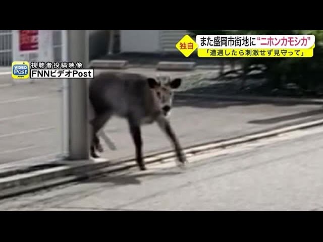 全国地ビールフェスティバル3日間ありがとうございます！ | 世嬉の一酒造株式会社