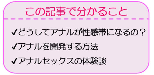 アナル愛撫のやり方！アナルイキや開発方法 - 夜の保健室