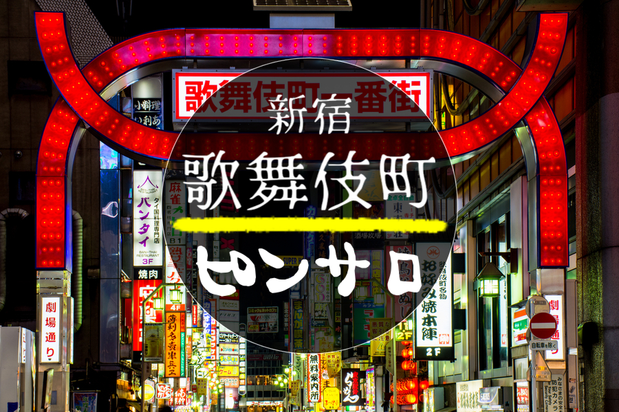 地元民が徹底解説】新潟の裏風俗はどこ？新潟に住んでる俺がガチで教えます！ | 珍宝の出会い系攻略と体験談ブログ