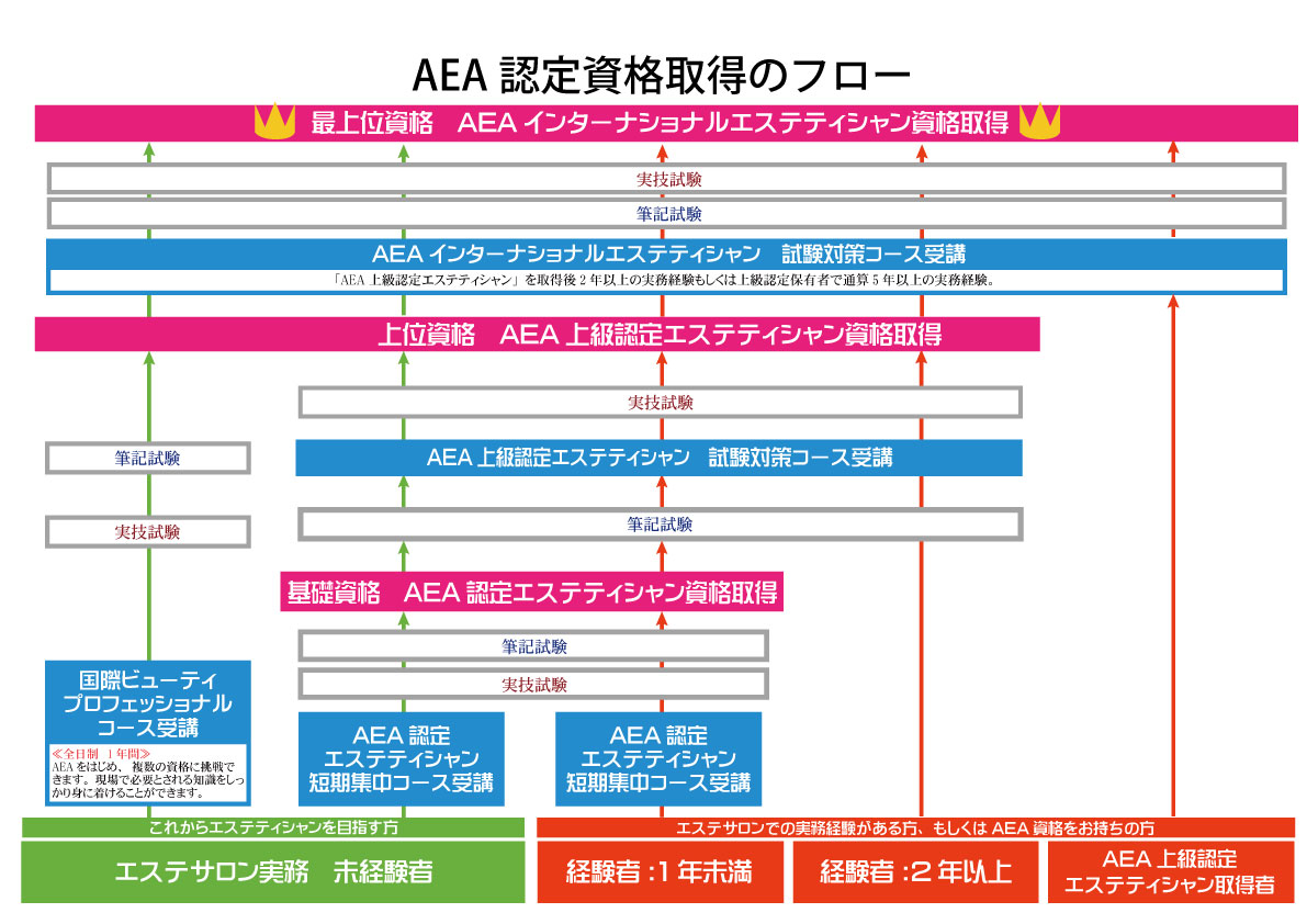 第44回AEA上級認定エステティシャン筆記試験 合格率100％🎉✨｜トータルビューティ科ブログ｜神戸ベルェベル美容専門学校｜美容・ブライダル・メイク・ エステ・ネイル専門学校なら「面白く」学べるベルェベル