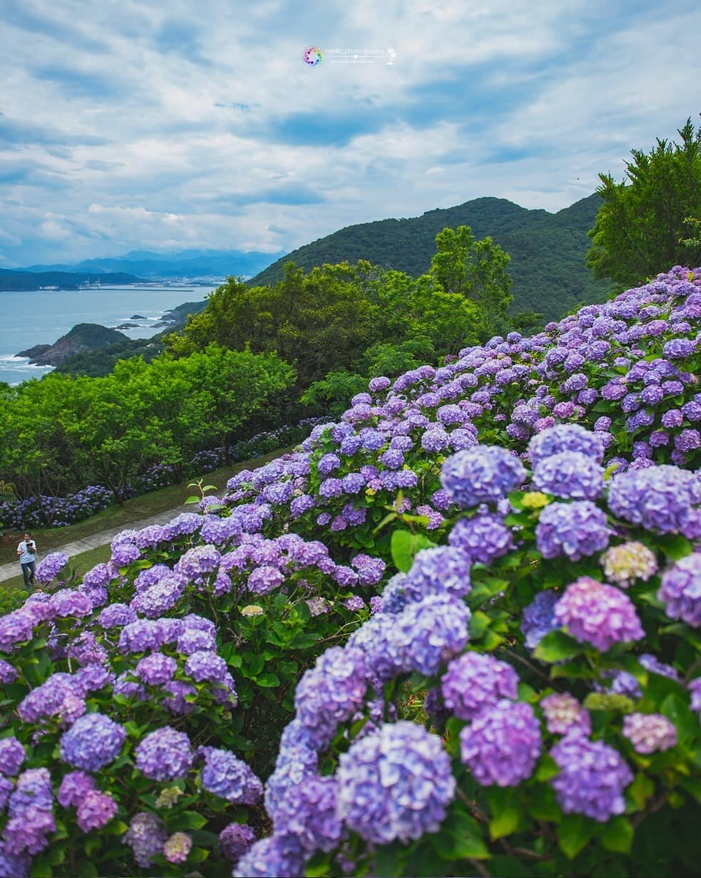 ホテル くちなし城 桃源郷 伊勢原 /