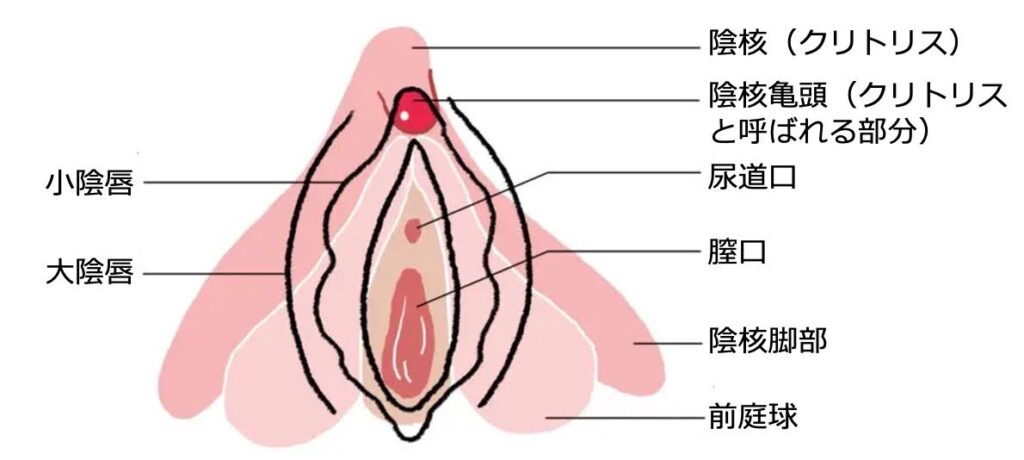 性の悩み、相談 回答受付中の質問 -