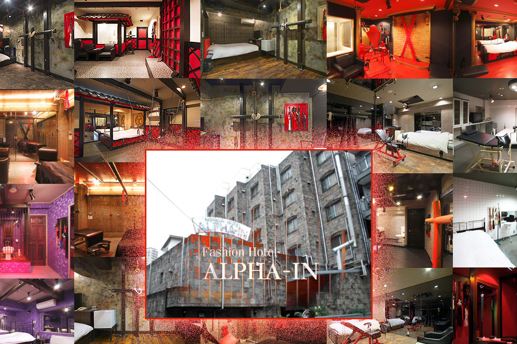 Hotel Alpha-in |