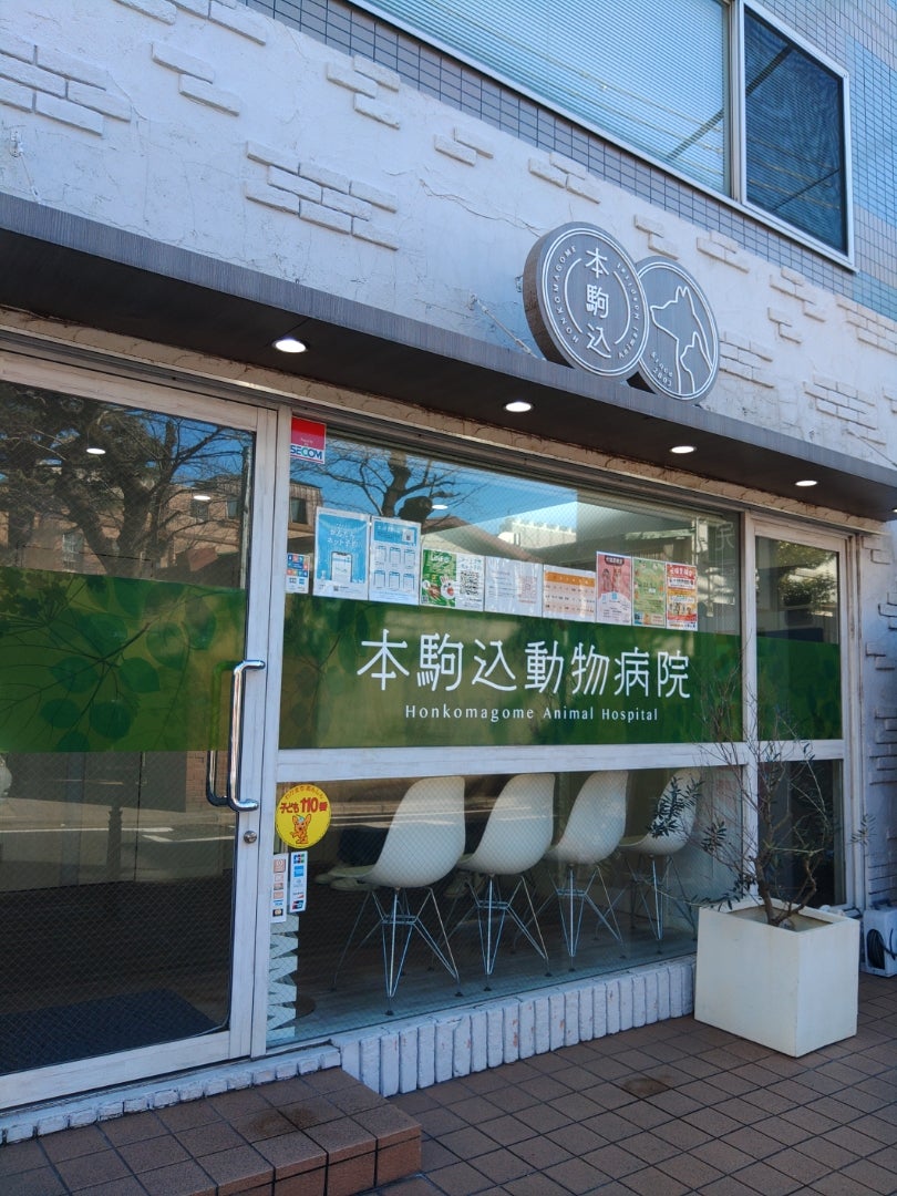 地鶏と地酒のお店「料理屋 とり匠 駒込」さんで、天草大王炭火焼鳥の「ランチひな会席」♪ |