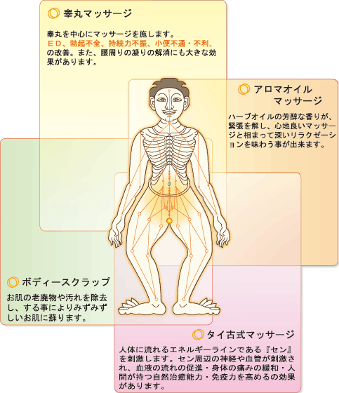 タイマッサージレッスン 2025 - プーケット