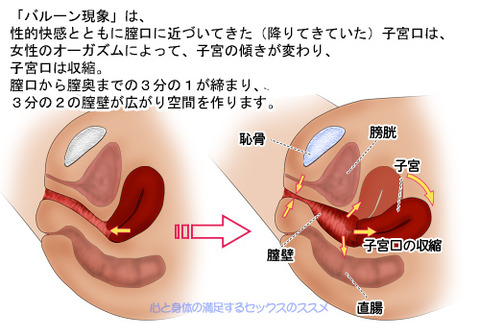 亀頭へのタトゥーはリスクだらけ。起こりうる恐怖の症状｜あんしん通販コラム