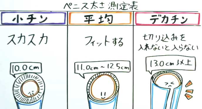 巨根or粗チン】正しくペニスを測定してランク付けしてみよう！ | 巨根への道