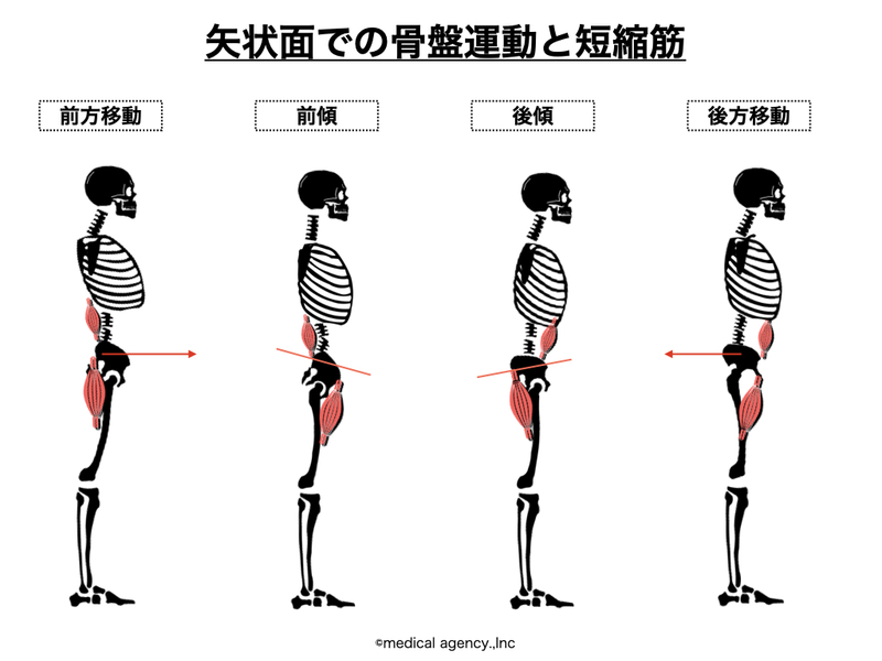 エッチをするとき奥さんが足を閉じるのはなぜですか -エッチをするとき- SEX・性行為 | 教えて!goo