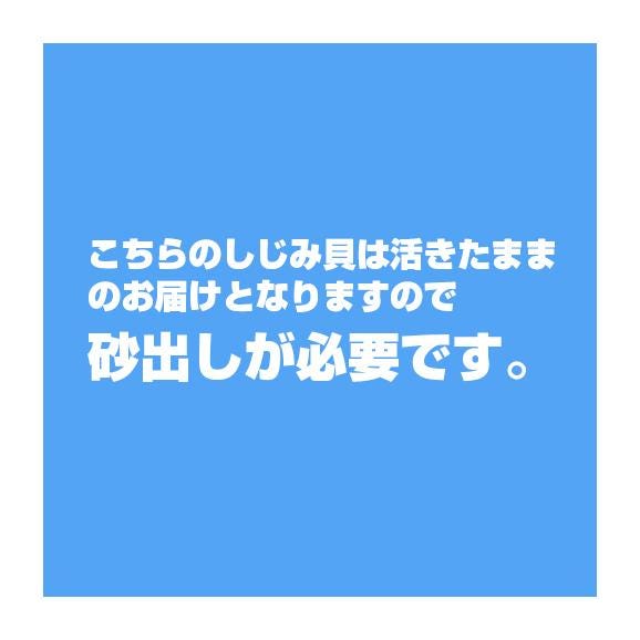 砂抜き不要 十三湖産 中〜大粒 冷凍シジミ１Kg （２５０ｇ×４袋）（４％OFF価格）