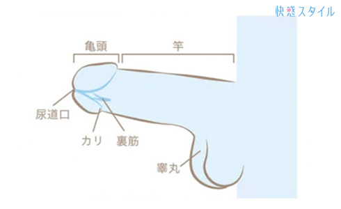 手マンの正しいやり方とは？女性が気持ちいいと感じるコツやテクニックを徹底解説｜風じゃマガジン